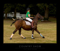 Hatfield House Country Show